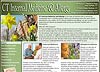 CT Internal Medicine & Allergy