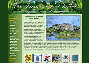 Enlarged view of image